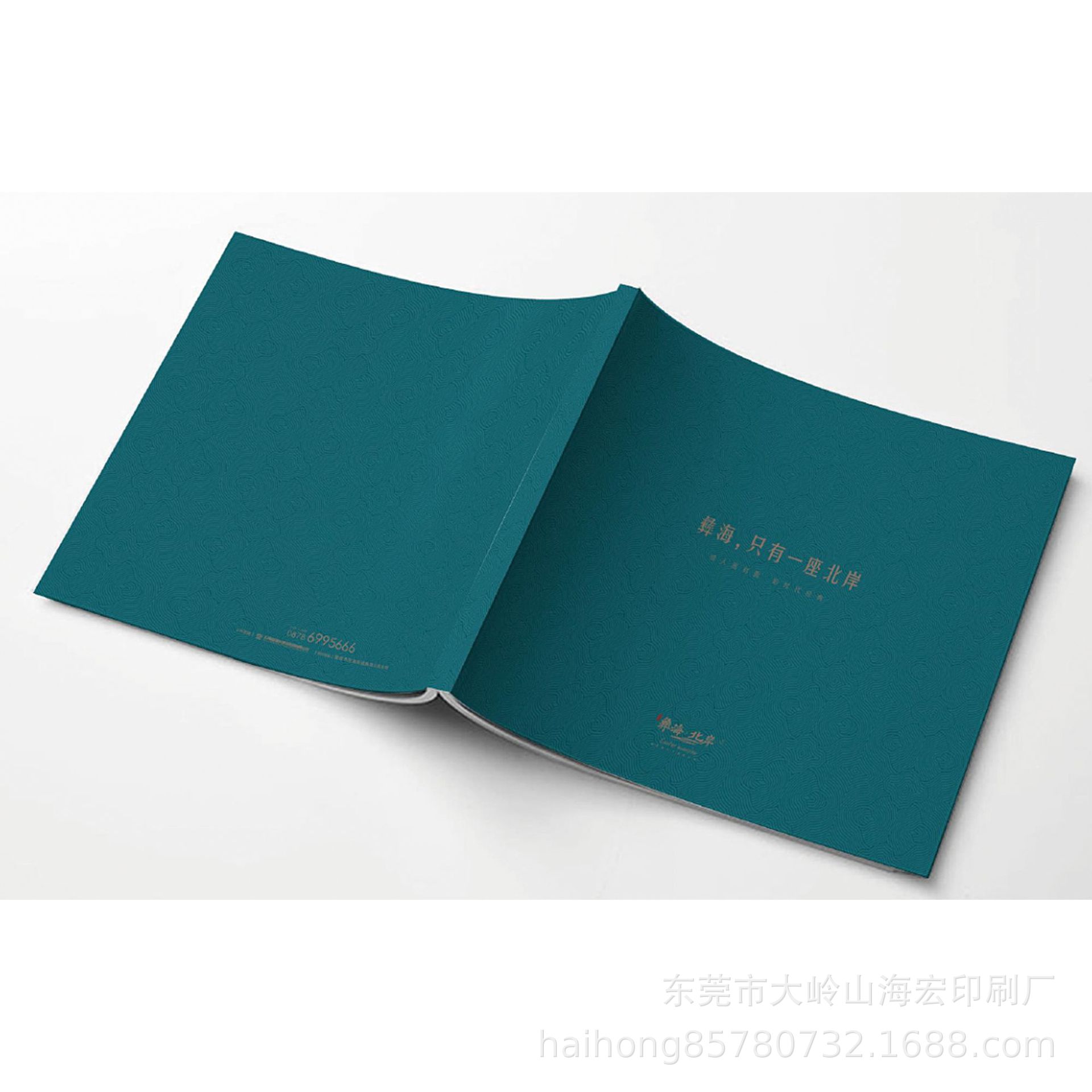 Product Brochure Printing, Single Sheet Folding Saddle Binding, Black and White Accordion Folding Customization, Corporate Brochure Printing