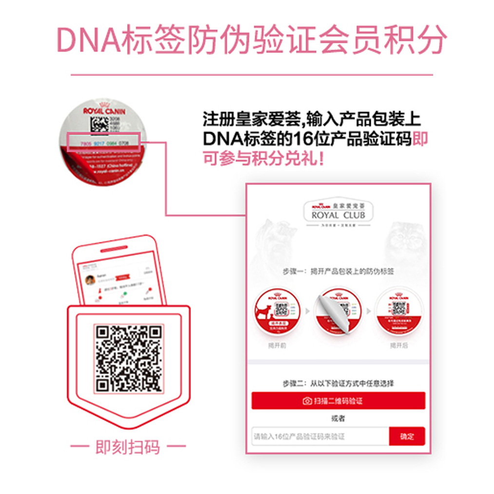 Royal cat food 400g wholesale BK34/K36/IN27/F32 milk cake kitten cat indoor 0.4kg