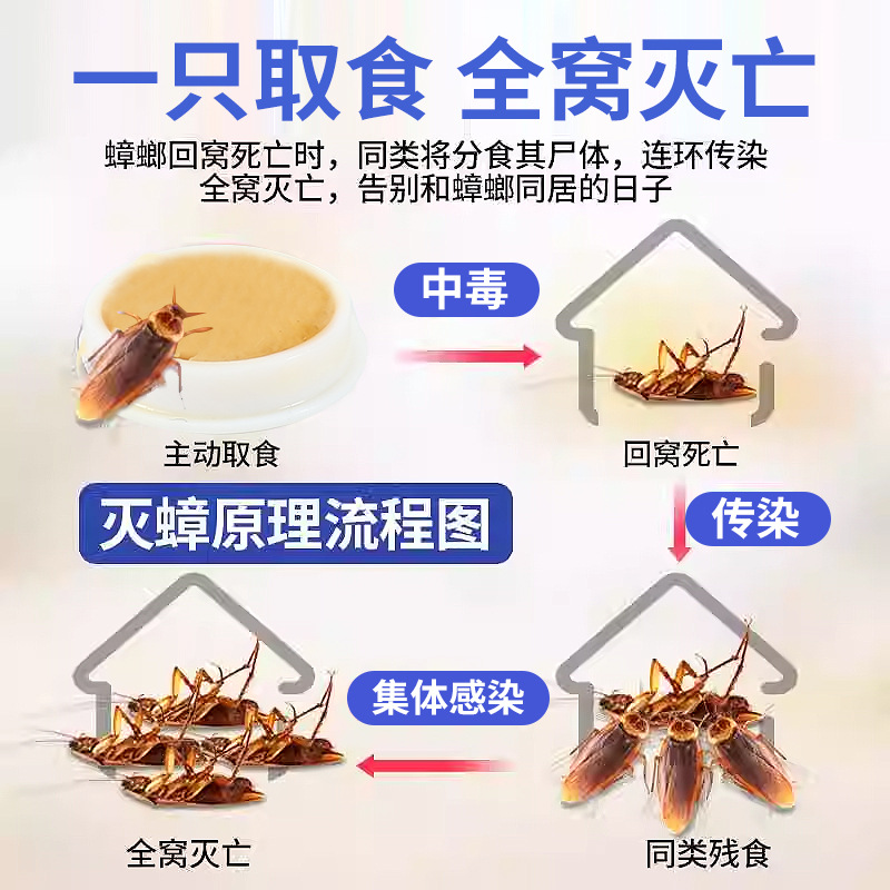 Household cockroach medicine indoor Cockroach killing convenient paste 8 tablets/Box Kitchen Cockroach killing gel bait cockroach House Cockroach killing bait