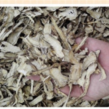 Wholesale Angelica Chinese Medicinal Materials Gansu Angelica Wholesale 0.5kg Bulk Whole Angelica Slices Wholesale