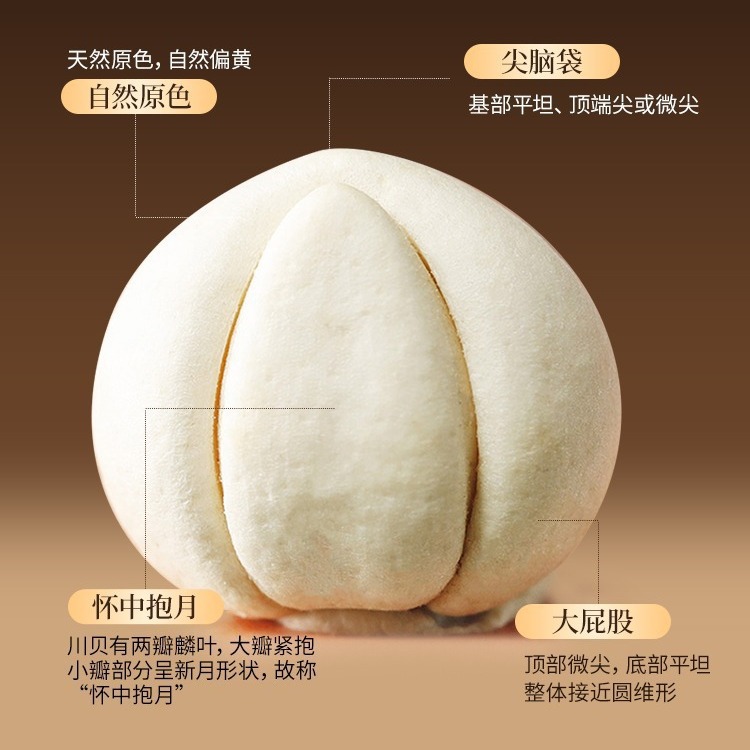 Beijing Tongrentang Fritillaria Dried Sulfur-Free Chinese Medicinal Materials Medicinal and Food Same Source Factory Wholesale Natural