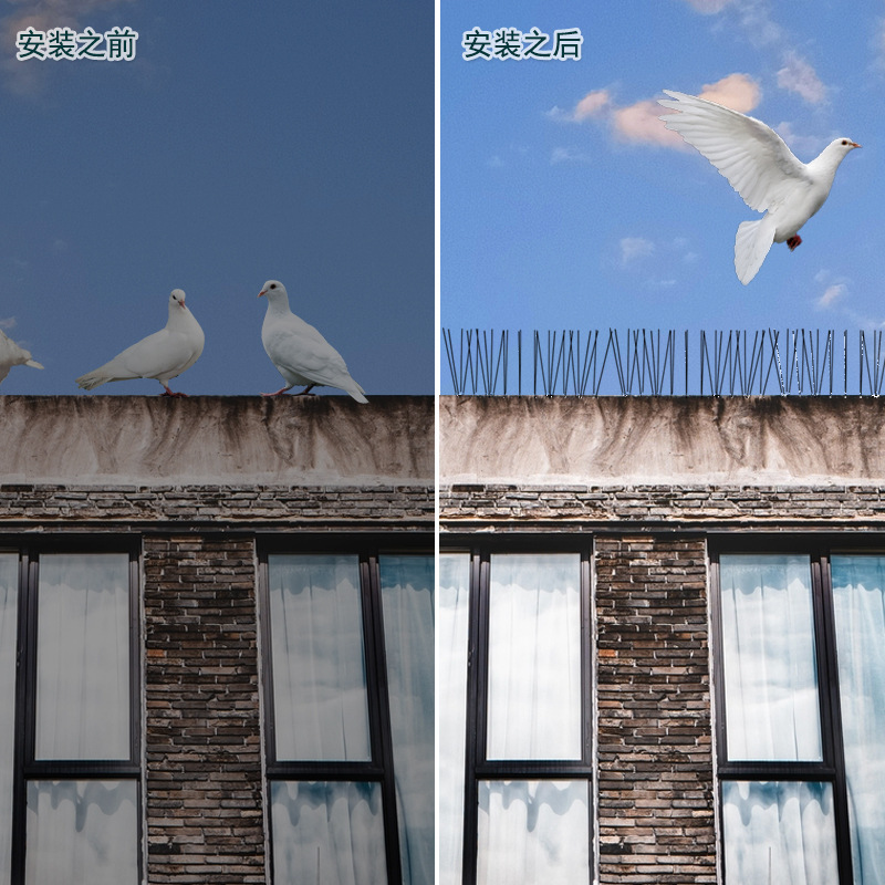 Home Agriculture Protection Cross-border in stock Home Protection Anti-bird Stab Balcony Bird Stab Bird Stab Artifact Stainless