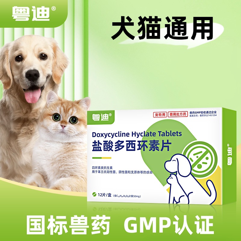 Yuedi Doxycycline Hydrochloride Tablets for Cats with Colds and Coughs, Nasal Bronchial Treatment Medicine for Dogs and Cats, Anti-Inflammatory Tablets for Dogs and Cats