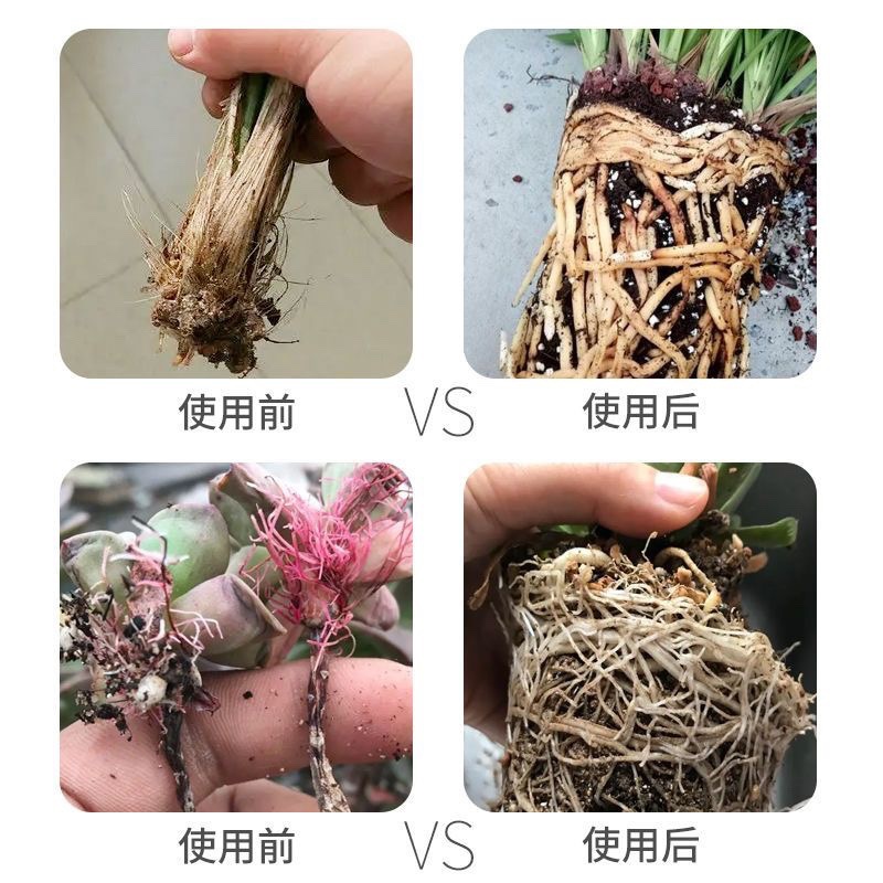 Rooting Powder, Rooting Agent, Transplanting Flower and Seedling Fertilizer, Plant Cutting Rooting Universal Green Plant Flower Fertilizer, Compound Fertilizer, Root Strengthening Powder