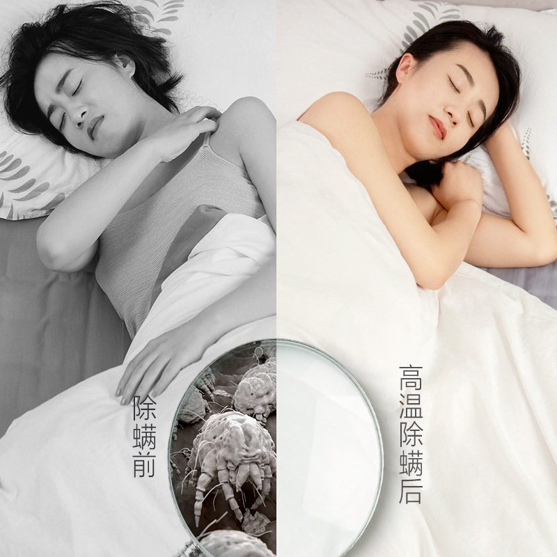 Alice Clothes Dryer Household Small Quilt Warmer Quilt Dryer Shoe Dryer Dehumidification and Mite Removal Alice