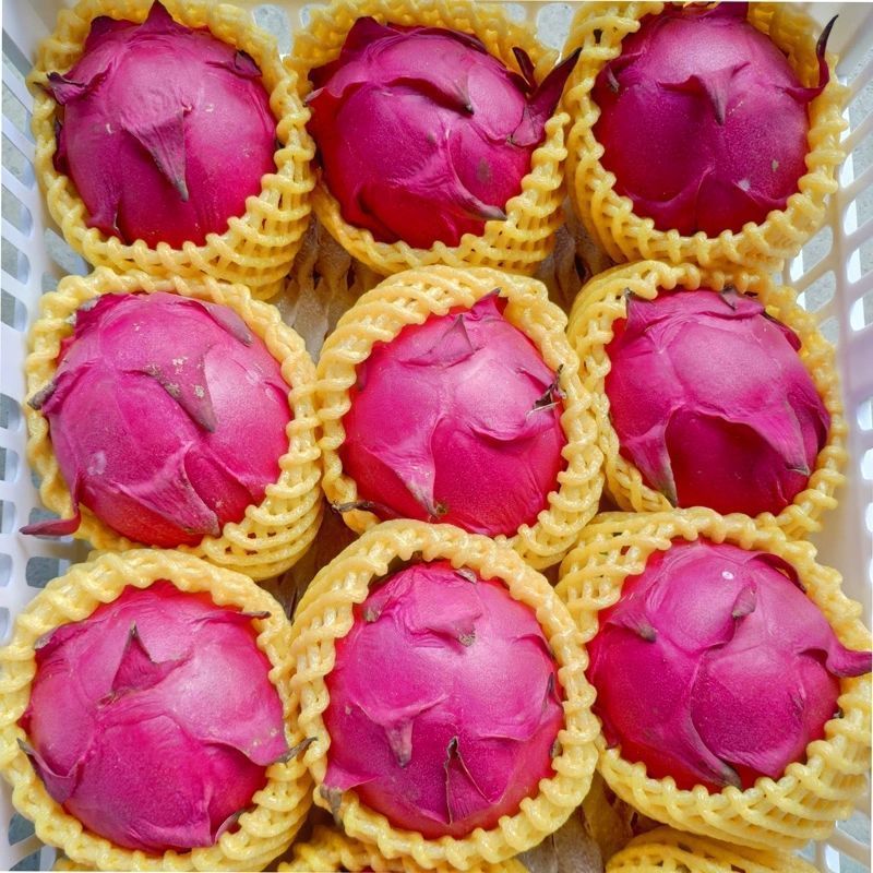 Фрукты Джинду №1 свежие целые коробки оптом много спецификаций красная мякоть питахайя медовое сокровище оптовая трансграничная электронная коммерция