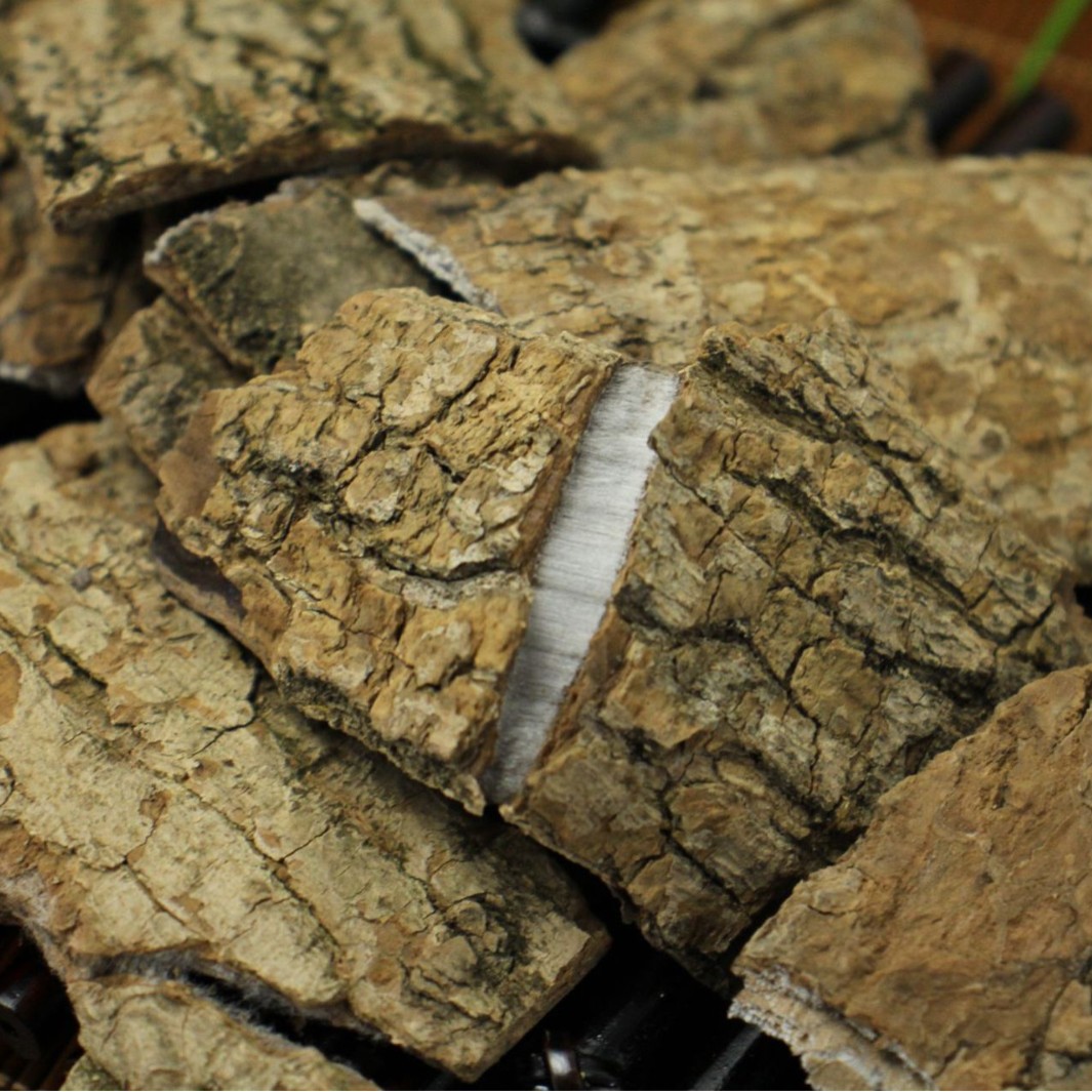 Специальность эвкоммии Гуйчжоу, толстокожий суп, сырье для вина и чая, оптовая доставка Гуйчжоу Санбао