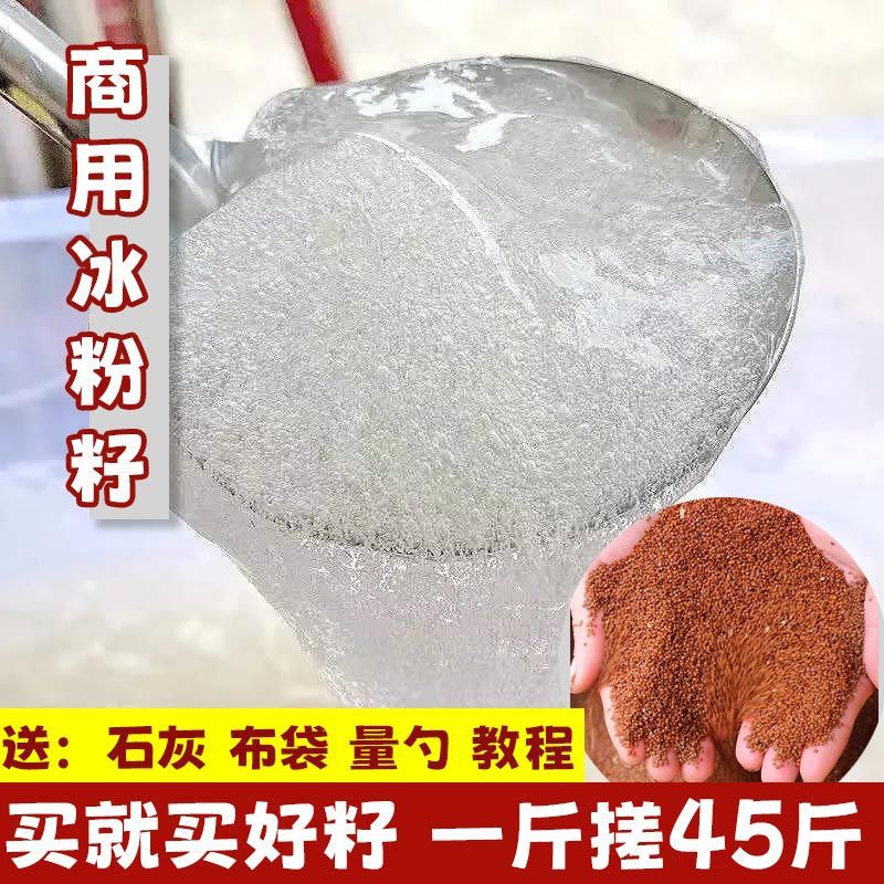 Ice Powder Seed Sichuan Specialty Authentic Hand Rub Ice Powder Handmade Bubble Ice Powder Raw Material Aiyu Seed Entity Commercial Stall