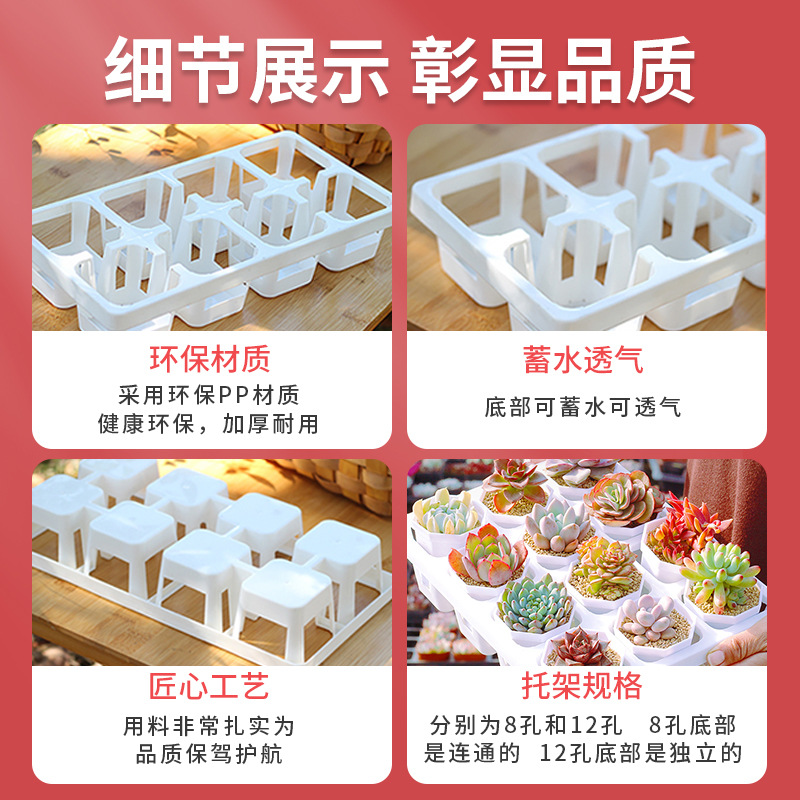 Fleshy plants wholesale most meat potted flowers meat with pot combination stone flower jade dew base self-produced