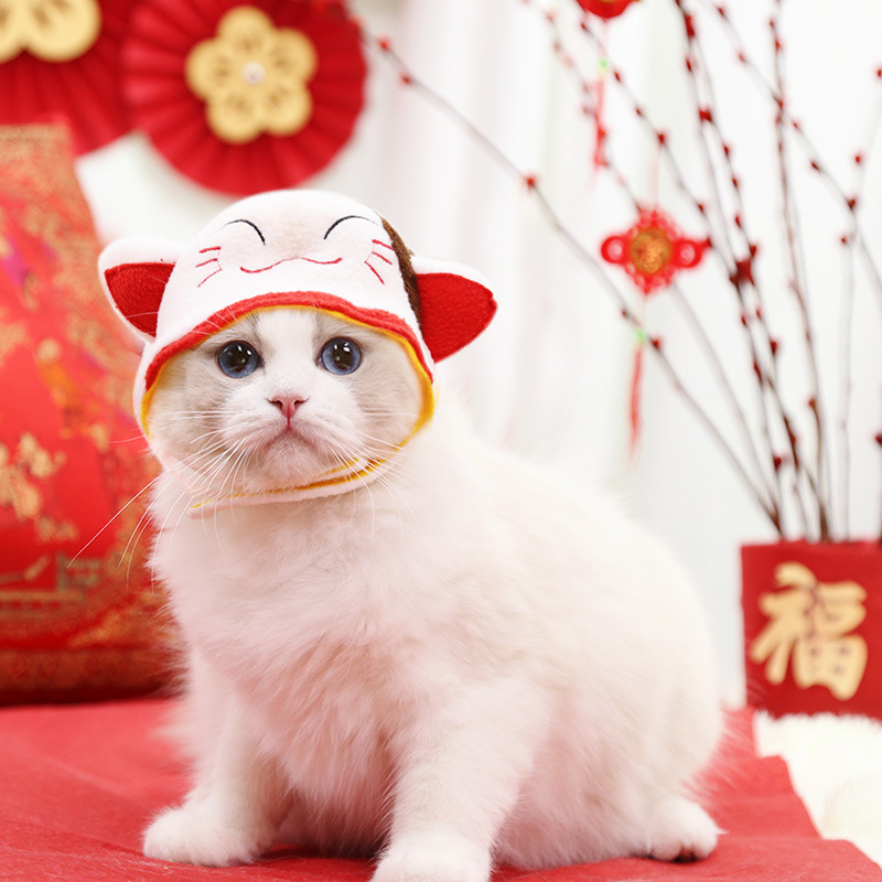 New Year Pet Cat Hat Headgear Cute Cat Teddy Bichon Dog Dress up Accessories Transformed into Dog Headwear Supplies