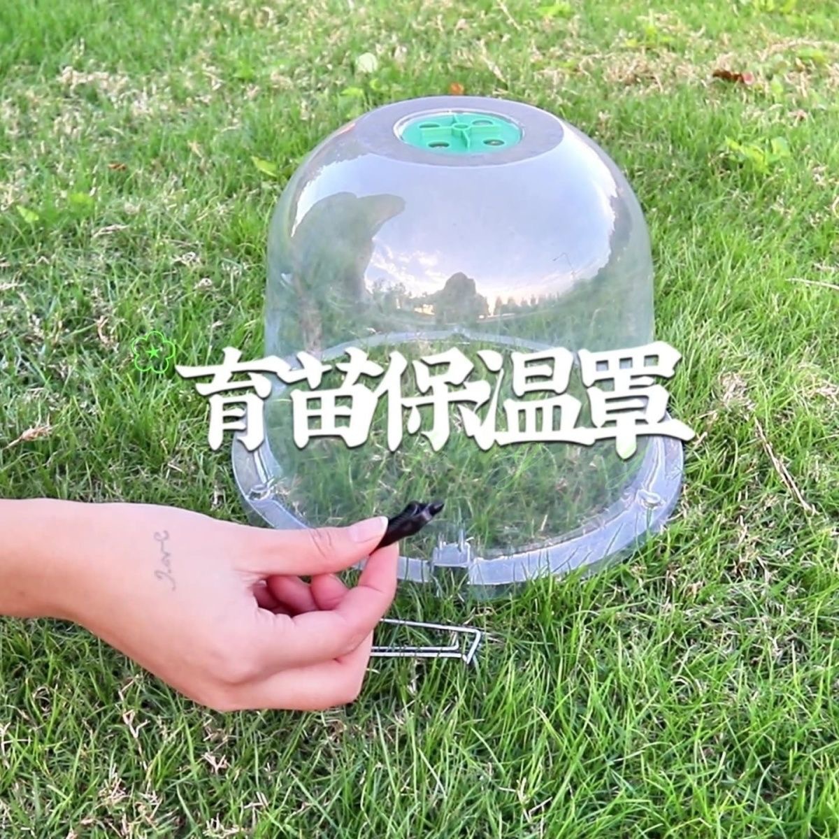 In-Stock Insulation and Moisture-Retaining Planting Protection Cover for Greenhouse Gardening, Blister Bubble Cover for Seedling Nursery Flower Pots