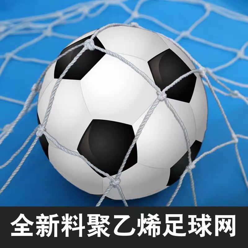 Football net polyester portable net 5 people 7 people 11 people standard professional game training polyester goal net