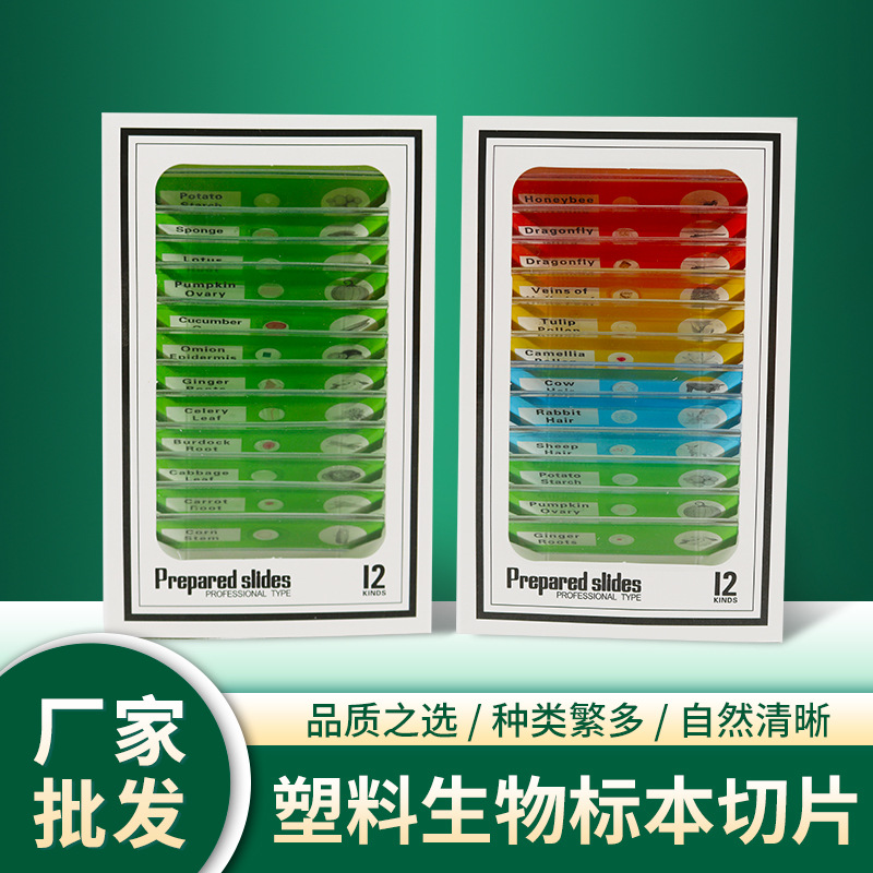 Английская этикетка, аксессуары для микроскопа, набор из 12 пластиковых биологических срезов для детей