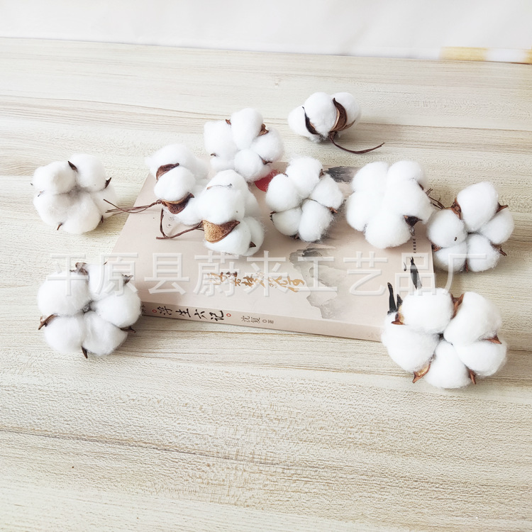 Five-petal cotton head full cotton bouquet DIY material home decoration photo props floral furnishings