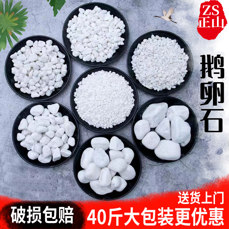 White pebble stone rain flower stone garden landscape decoration white stone garden landscape small stone