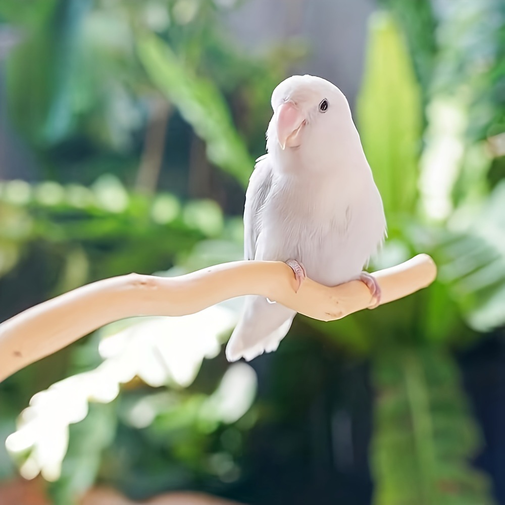 Cross-Border Best-Selling Parrot Perch, Special Solid Wood Swing for Budgerigars, Cockatiels, Lovebirds, Round Wooden Bird Toys