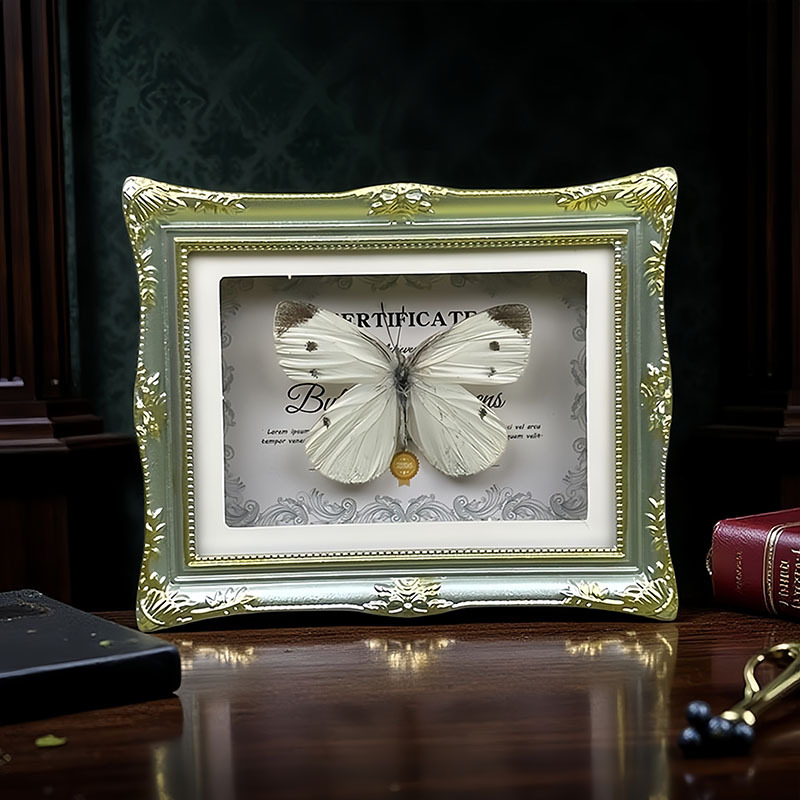 Real Butterfly Specimen European Style Photo Frame Refrigerator Magnet Home Decoration Ornaments Creative Birthday Gifts Popular Science Teaching Supplies