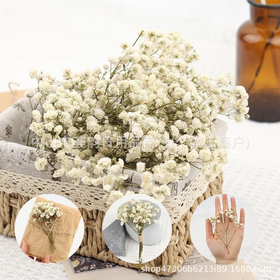 [Retro Air-Dried Flower Material] Short Branch Real Plant Specimen Photo Frame DIY Floral Handmade Hydrangea European Style Leaves