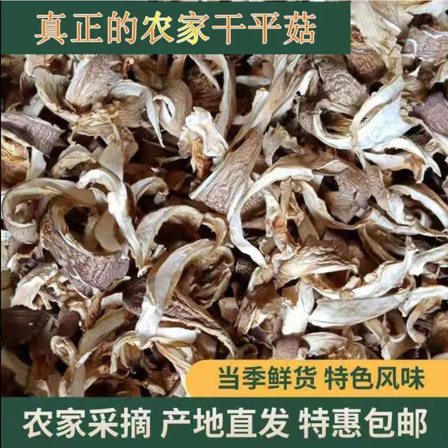 Wholesale of Shredded White Mushrooms, Clean and Bacteria-Free, Wholesale of Oyster Mushrooms, White Mushrooms in Bulk, Dried Mushroom Slices with Free Shipping
