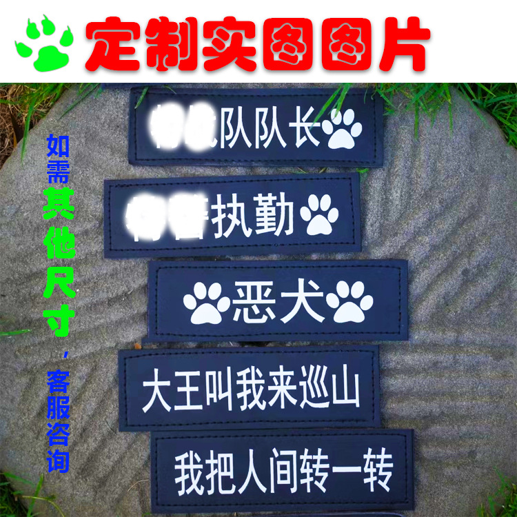 Factory lettering dog chest strap large small size personality Velcro K9 chest strap pet anti-lost dog tag wholesale