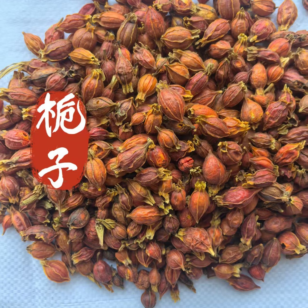 Гардения 500г Цзянси красная гардения маленькая гардения [Цзиньхуй Фармацевтика] китайская травяная медицина оптом