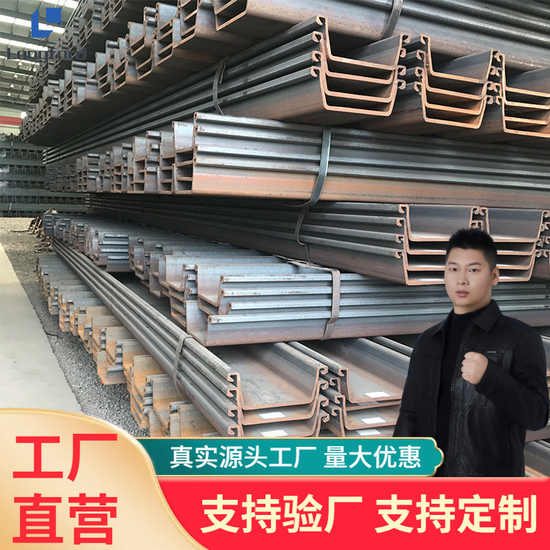 Zizhu Sy295 Larsen U-образная стальная листовая свая для земляных работ и поддержки канавы