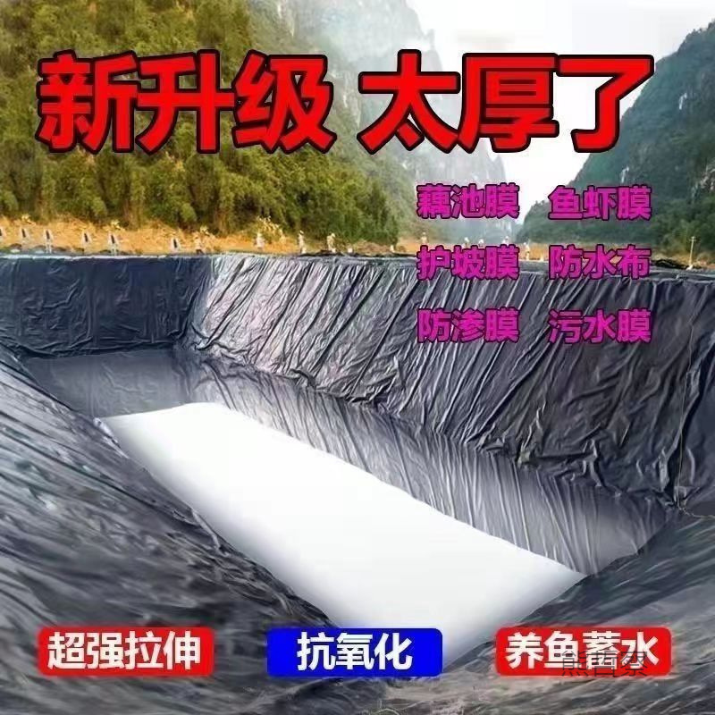Waterproof Cloth Fish Pond Film Black Plastic Film Pond Geomembrane Fish Pond Anti-Seepage Film Ultra-Thick Thickened Fish Pond Special Wall