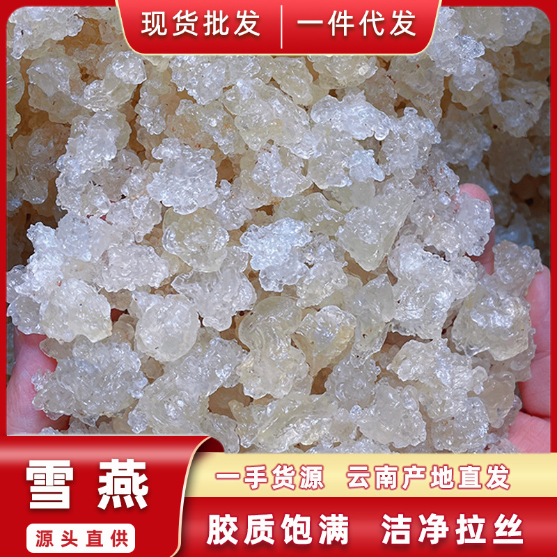 Щетинистый снегирь, смола из источника, прямая поставка щетинистого снегиря, гнездо из драконьих усов, оптовая продажа, первая поставка