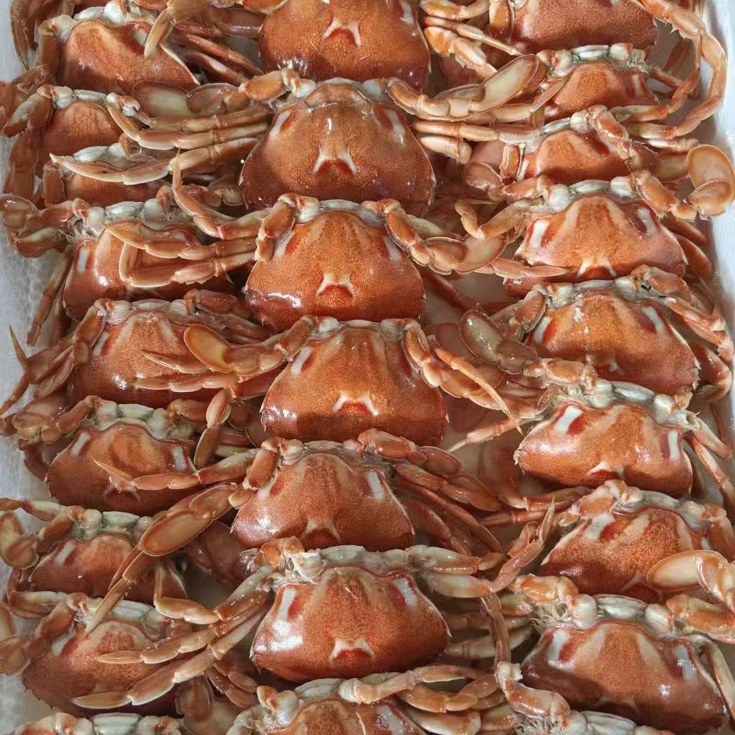 Frozen Selected Cooked Frozen Lucky Crab Medium Lucky Crab Buffet Hotel Restaurant Frozen Seafood Aquatic Products Wholesale