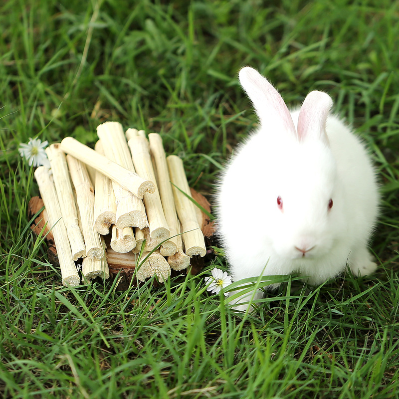 Rabbit Chinchilla Sweet Bamboo Pet Teething Sweet Bamboo Guinea Pig Teething Stick Chewing Wood Branch 500g Hamster Bamboo Cane Squirrel Snacks