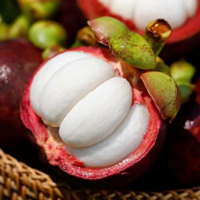 Sf Express Fresh Fruit Seasonal Mangosteen 5/3/ 1.0kg Large Fruit Wholesale Price Dropshipping Factory Amazon