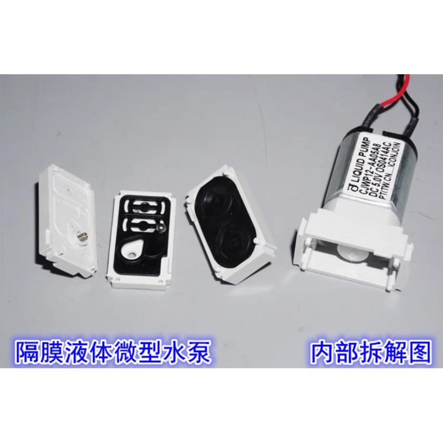 Cjwp12 Dc Dc3V-5V Mini Self-Priming Liquid Pump 030 Motor Micro Diaphragm Water Pump with Check Valve