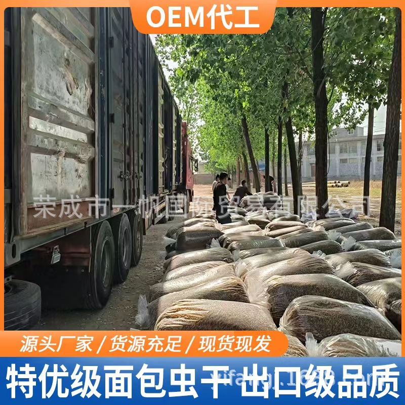 Supply export-grade microwave drying bread worm dry support small package quality stable yellow powder worm hamster grain