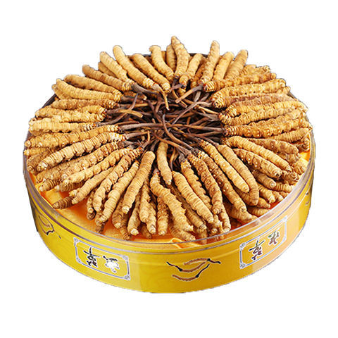 Large Quantity of Wholesale Freeze-Dried Grass, Authentic Wild High-Altitude Cordyceps, Non-Xizang Nagqu Cordyceps Sinensis, Qinghai Large-Breaking Grass