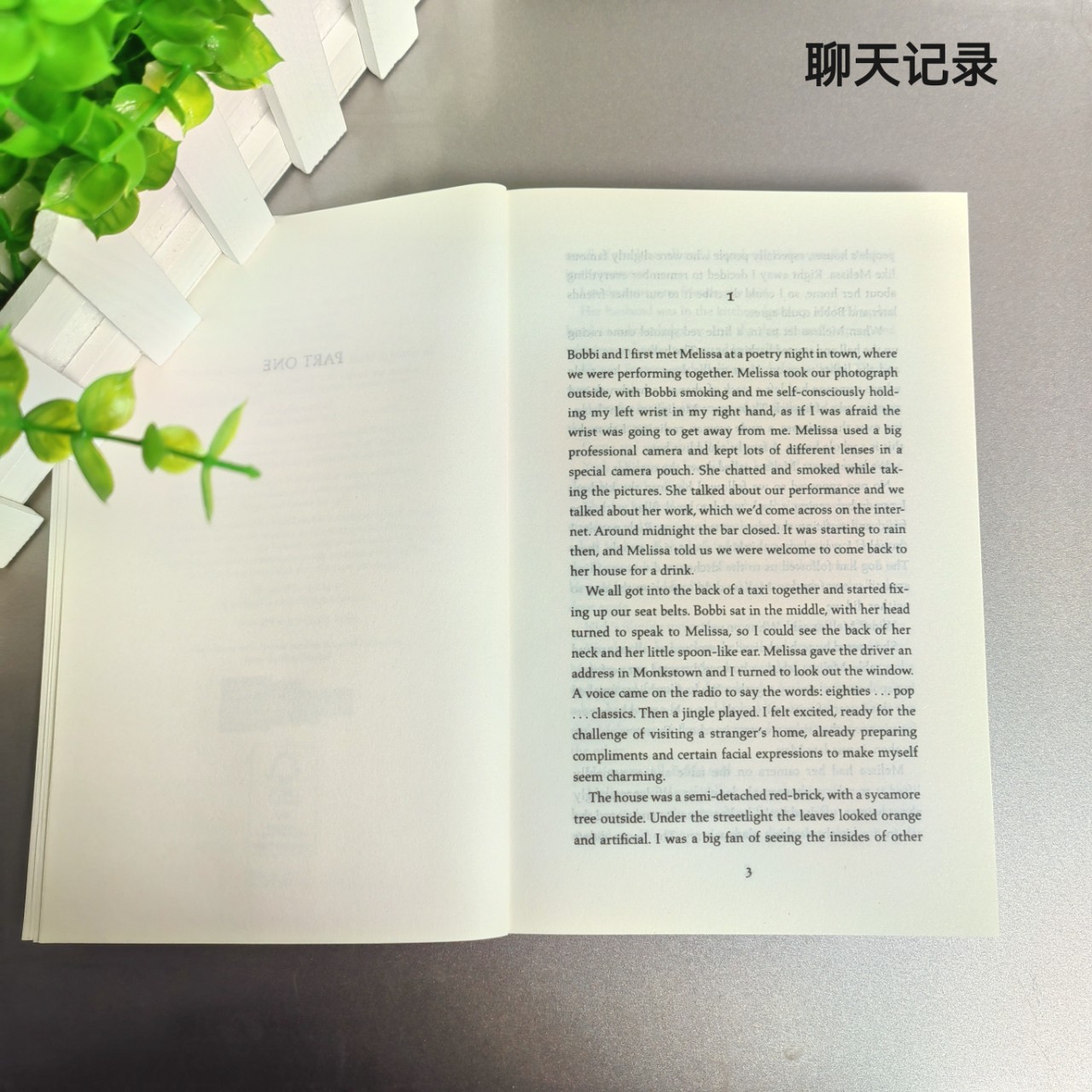 Conversations with Friends Sally Rooney