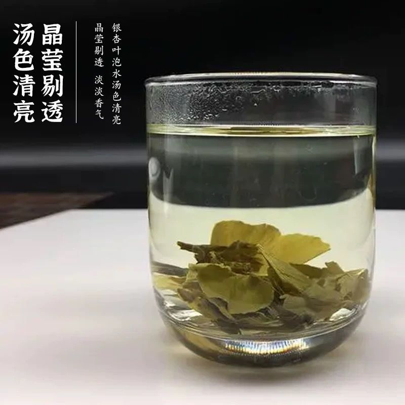Ginkgo Biloba Authentic Sichuan Ginkgo Biloba Tender Leaves Moth Leaves Ginkgo Leaves Soaked in Water Wholesale Canned Pre-Packaged Others