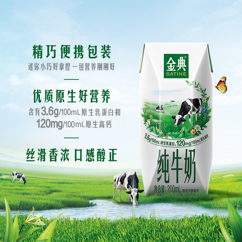 October New Arrivals Yili Jindian Pure Milk 200ml*12 Boxes Student Nutritional Breakfast Milk Whole Box Genuine E-Commerce Packaging