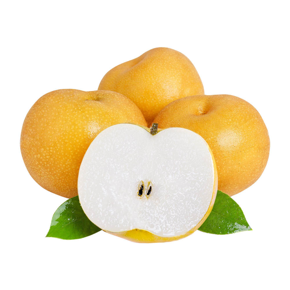 Qingqing Dadi Laiyang Qiuyue Pear, Shandong Bingtang Pear, Fresh Fruit, Whole Box, 2.25kg Origin Direct Shipment