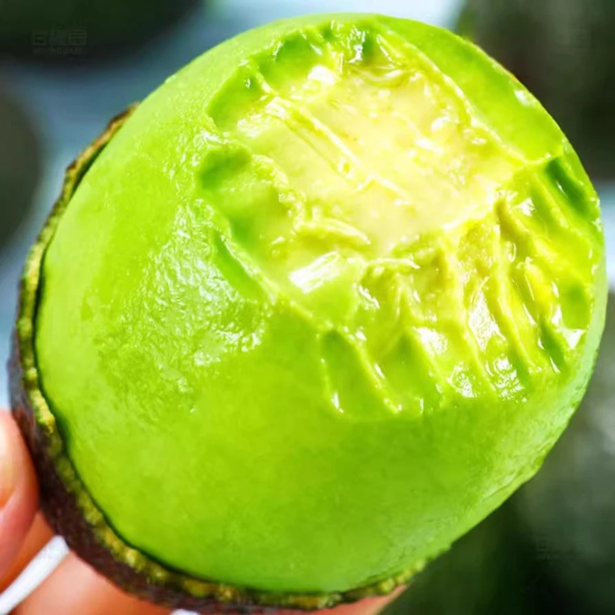 Avocado Yunnan Hass Avocado Fresh Fruit Menglian Jumbo Avocado Pregnant Baby Ready-To-Eat Food
