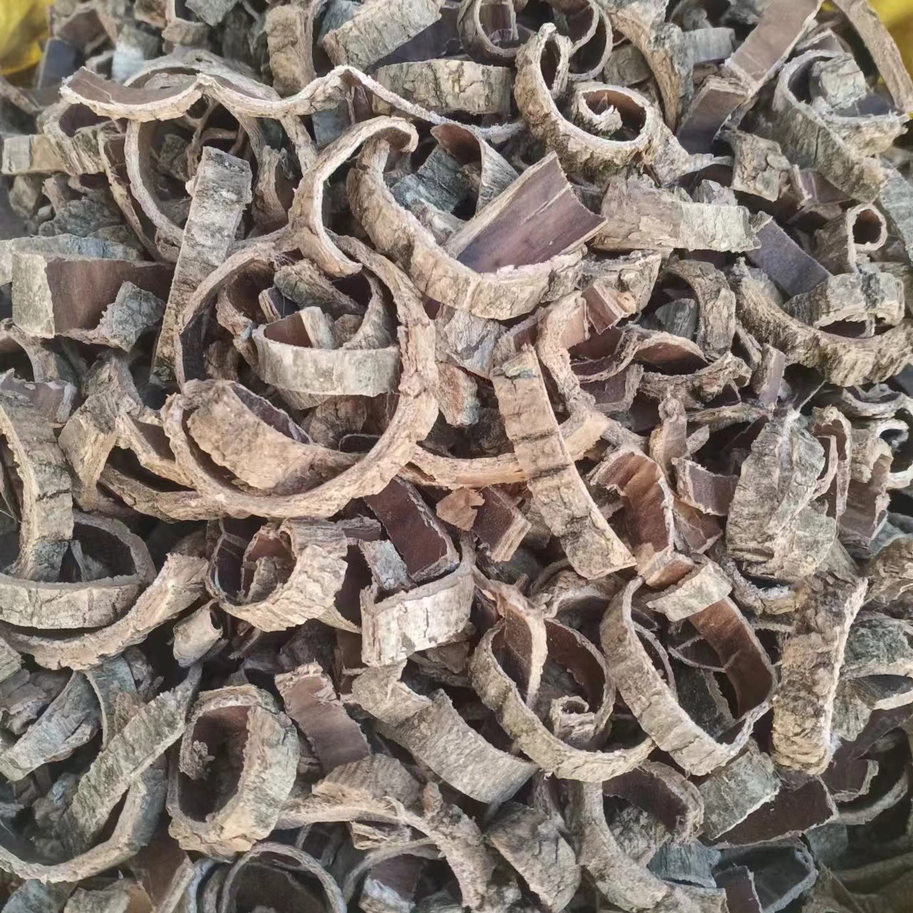 Оптовая и розничная продажа новинок Eucommia Ulmoides, очищенный Eucommia Ulmoides, старая кора Eucommia Ulmoides, различные спецификации и большие скидки