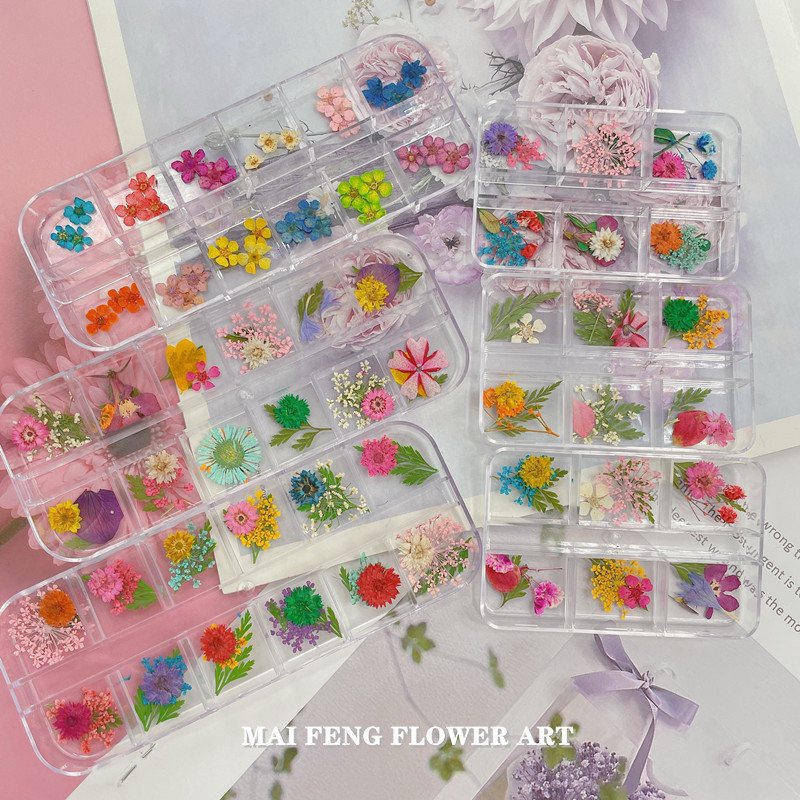 Snow bead lace flower dried flower embossed wholesale plant specimen nail art drop glue bet flower photo frame material 2000 Flower pack