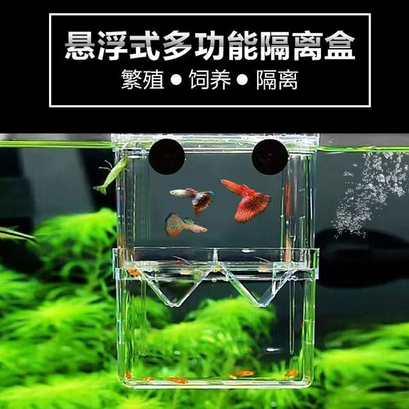 Fish Tank Isolation Box Transparent Acrylic Incubation Box Guppy Breeding Box Mini Parrot Fry Breeding Box