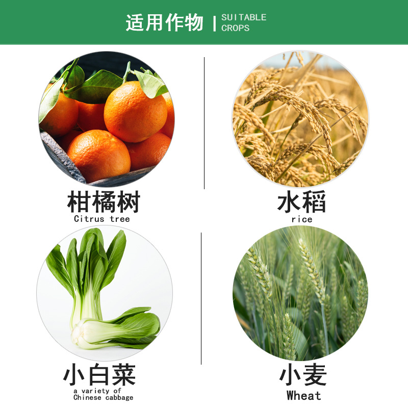Chengdu New Chaoyang Shuofeng 481 Flower Fruit 14-Hydroxybrassinol Plant Growth Regulator 5ml