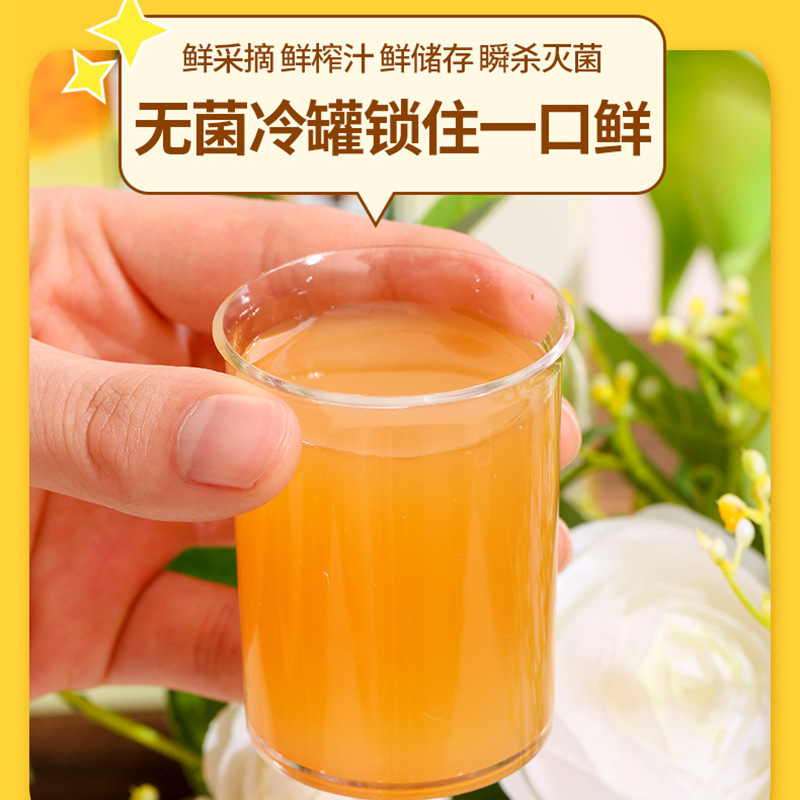 [Fushou Kangning] Guizhou Rosa roxburghii puree NFC fresh fruit freshly squeezed Rosa roxburghii juice vitamin oral liquid wholesale