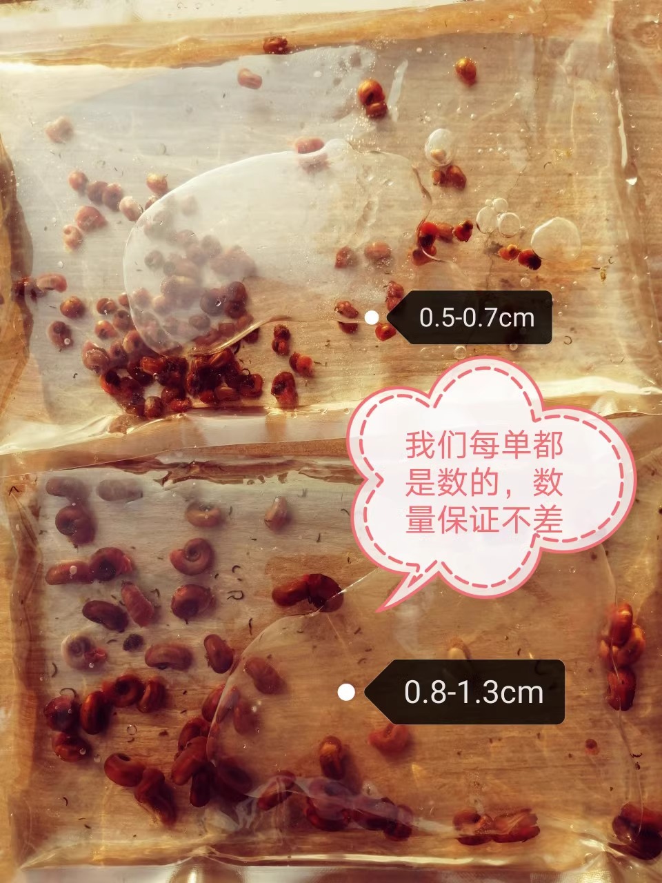 Full Red Apple Snail Ornamental Snail Large Algae Removal Snail Gold Snail Doghead Fish Ornamental Turtle Live Feed Clean Pet