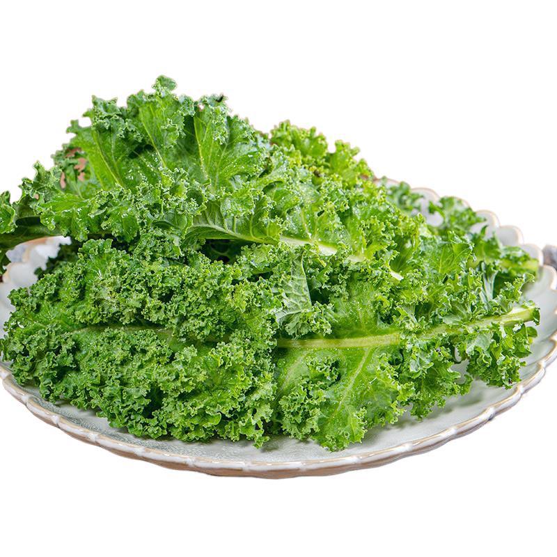 Fresh Kale Vegetables for Consumption, Sf Express Free Shipping, Juicing, Roasting, Fitness Light Meal, Western Salad Vegetables