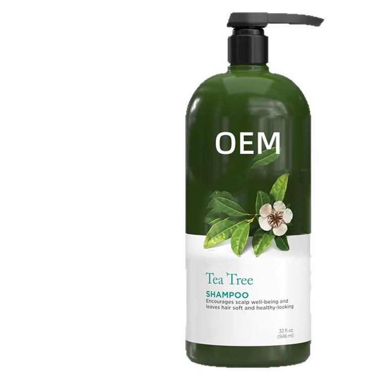 Oem Customized Full English Men's Shampoo Mint Tea Tree Shampoo Oem Export Shampoo Processing and Oem