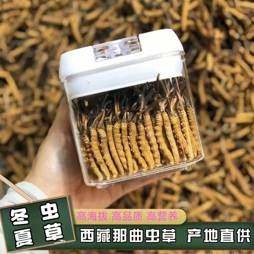 Xizang Nagqu Cordyceps Sinensis Dry Goods Cordyceps Gift Box Freeze-Dried Selected Dry Foot Gift High Nutrition