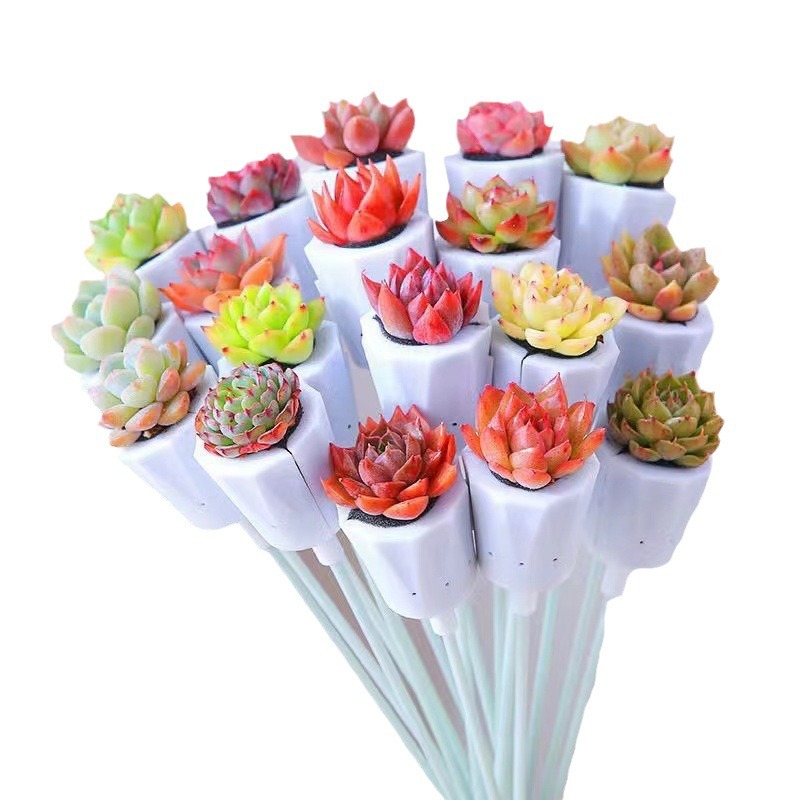 Fleshy bouquet box holding flower combination gift creative soilless self-absorbent lazy person indoor good meat container