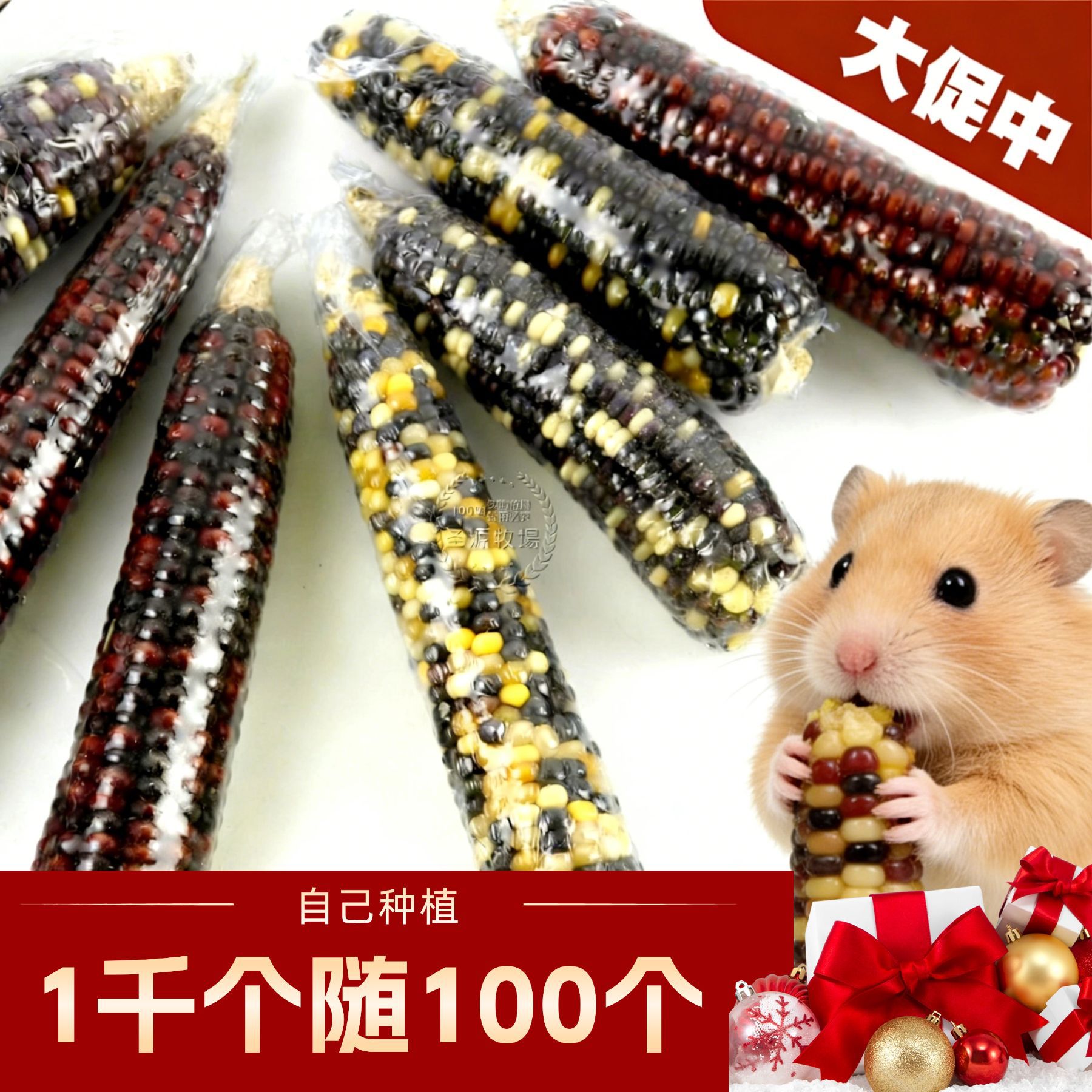 25-летний сезонный мини кукурузный хомяк молярные закуски кукуруза золотой медведь кролик шиншила цветочная ветка мышь